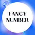 Fancy Number